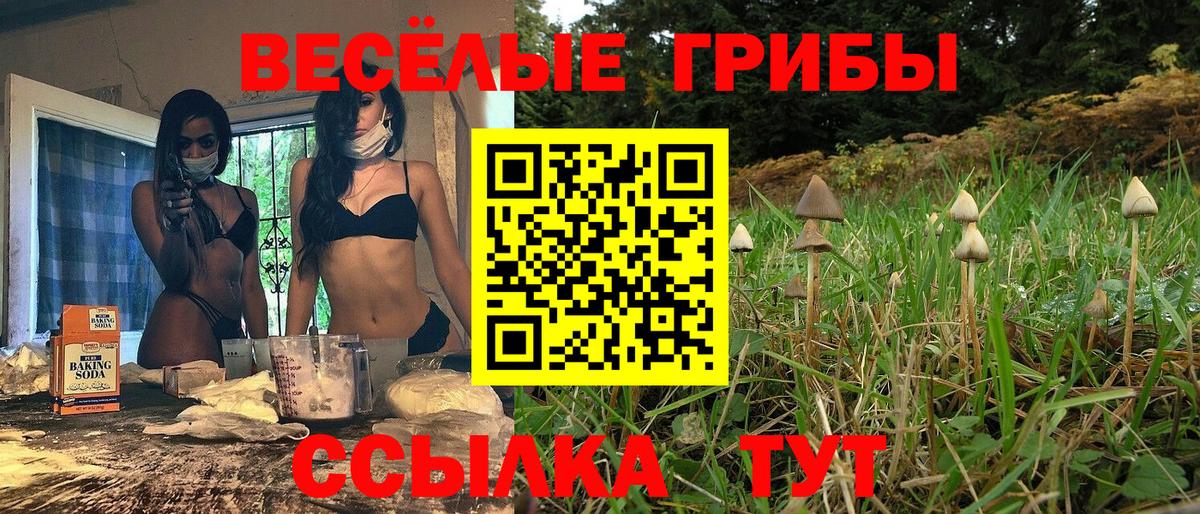 Псилоцибиновые грибы Psilocybine cubensis Пыть-Ях
